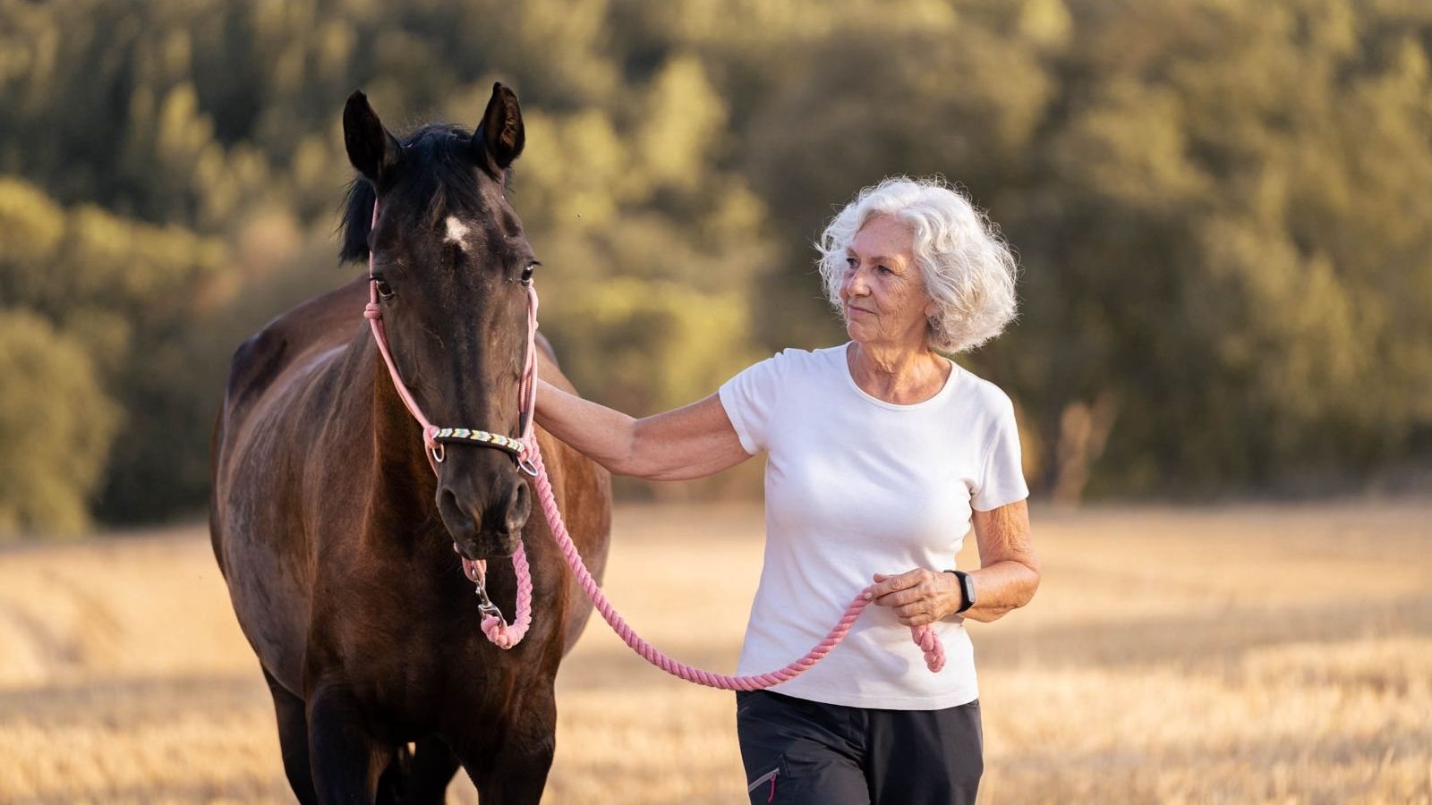 Anna Álvarez Crispi paseando junto a un caballo en un campo de cereal