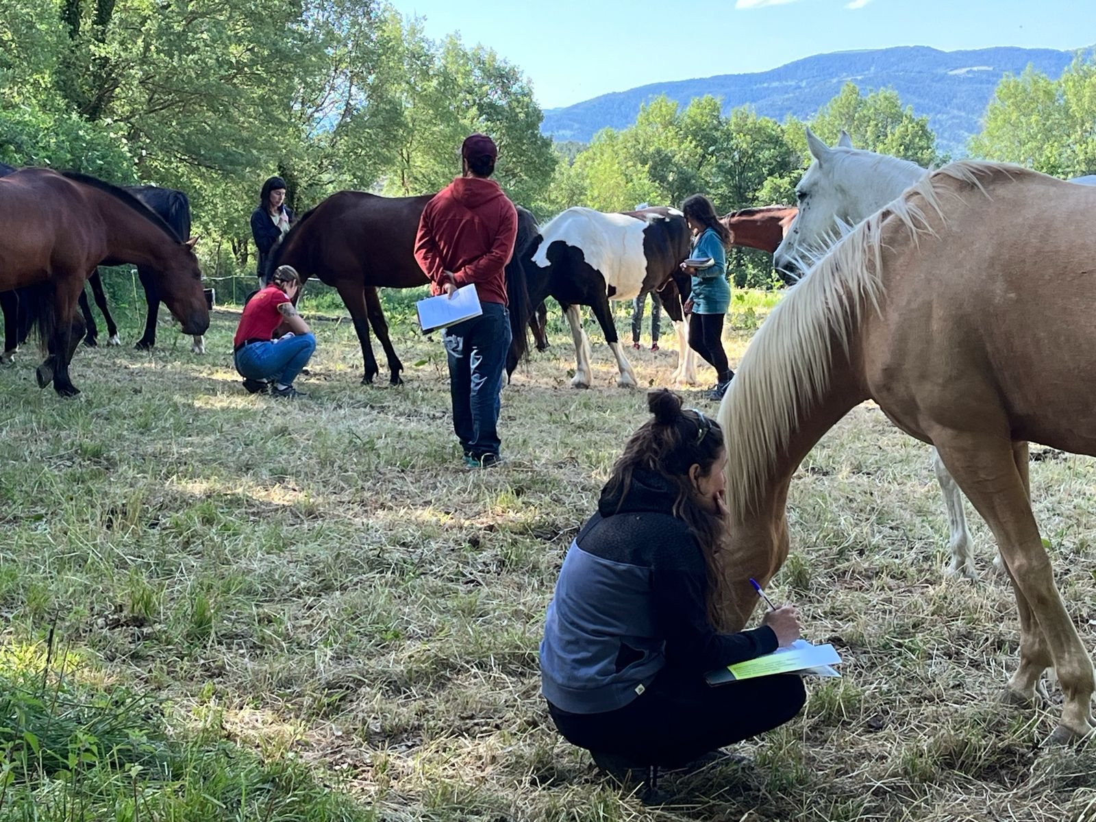 Alumnas y alumnos de una formación observan a la manada en un prado, con libretas en la mano